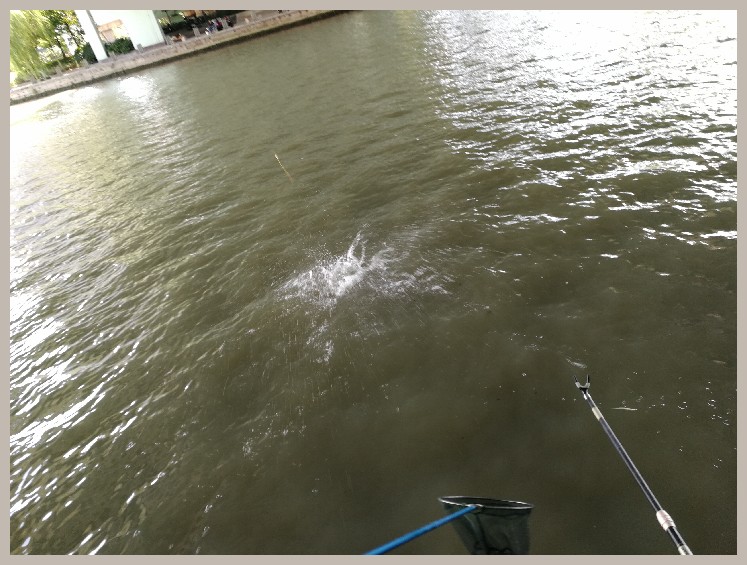 结伴同行首钓新城市高温也丰收