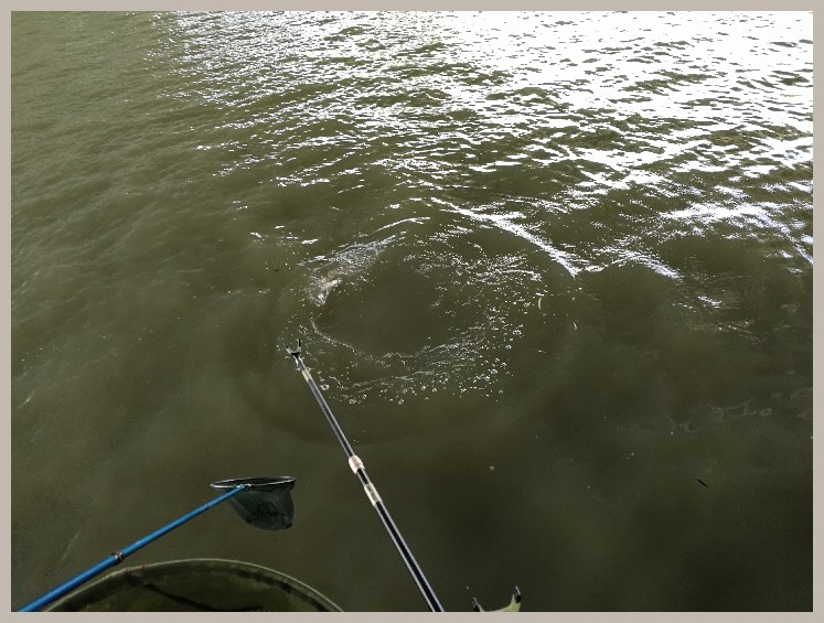 结伴同行首钓新城市高温也丰收