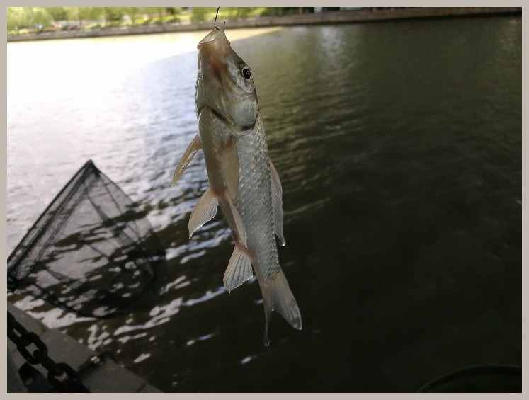 结伴同行首钓新城市高温也丰收