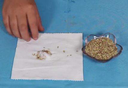 茴香放枕头边,小茴香加盐装枕头有什么用