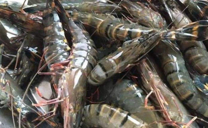 用吸管怎么清理虾线和虾脑,去虾线最简单的小诀窍