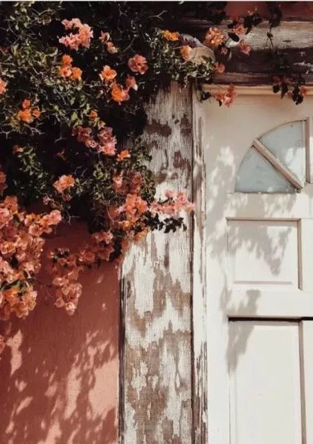 秋季灵感碰瓷-今年没有一件这样的「南瓜色」单品，都不算秋天