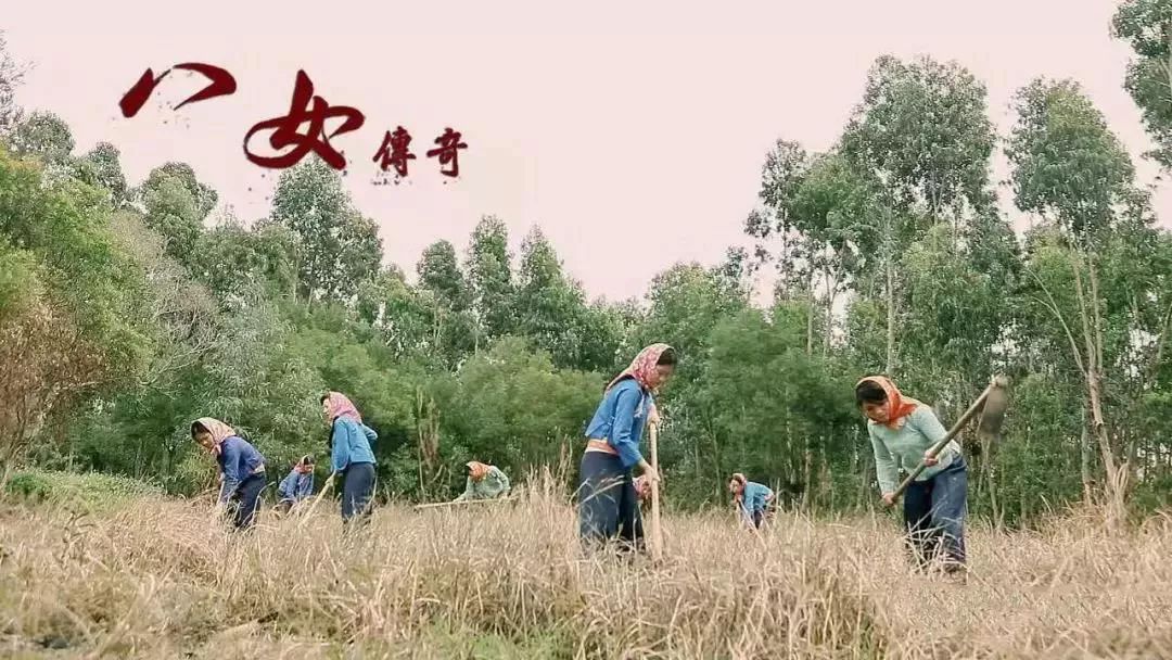你以为的福建泉州惠安,你以为的泉州惠安