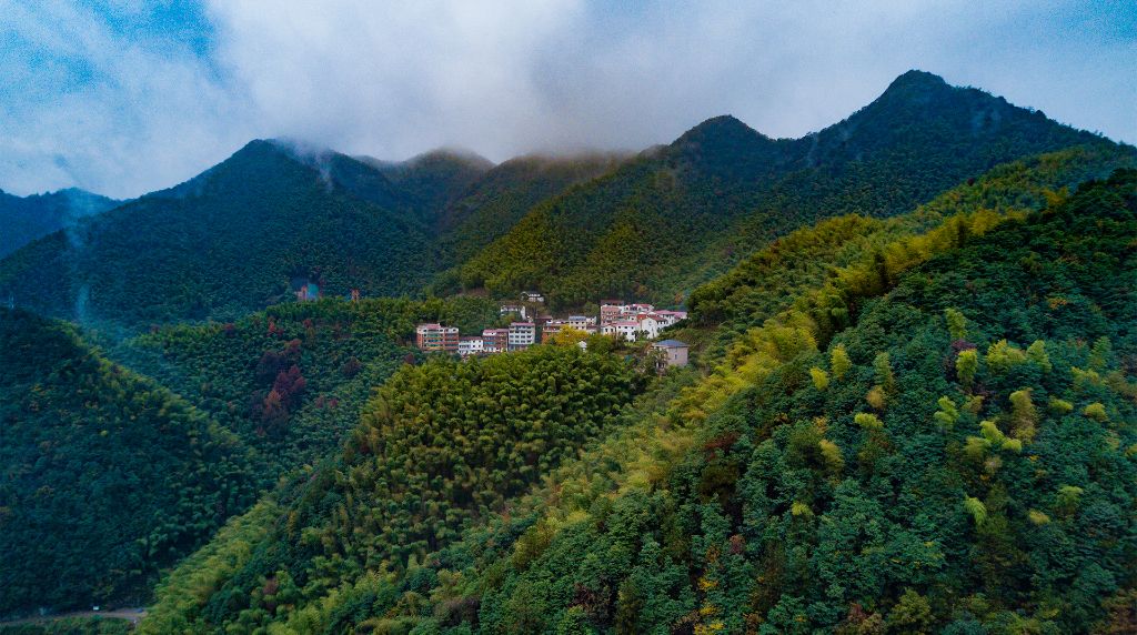 您就是义乌的“代言人”！接到这个电话，千万别挂掉