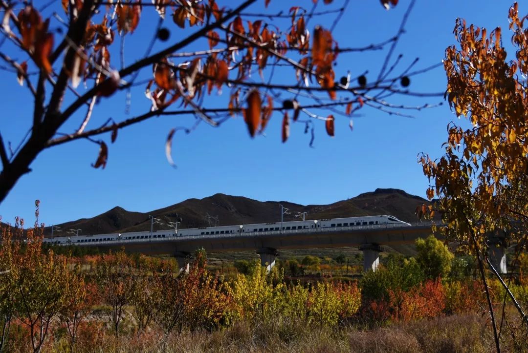 火车票丢了用什么app,火车票凭证丢了怎么补办