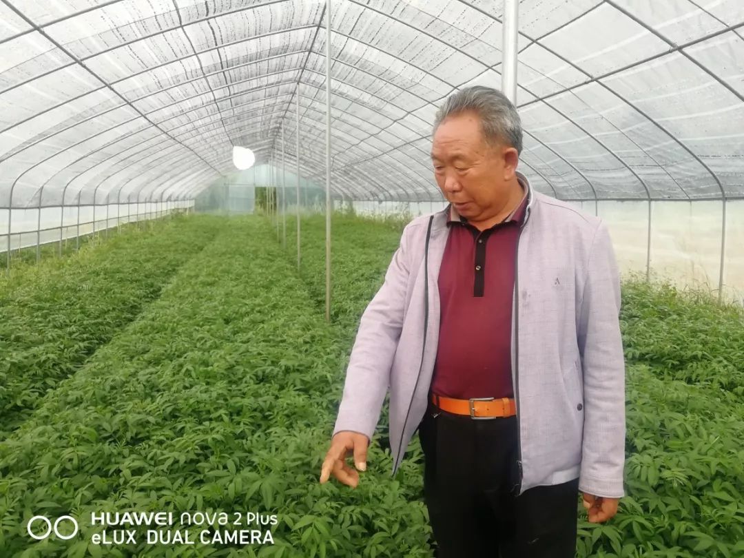 昭通陈正荣：栽上“致富苗”，点燃2000户村民脱贫希望！