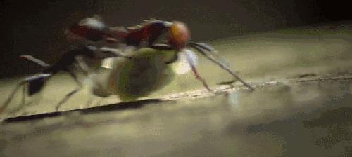 延庆诡异事件,延庆区诡异事件