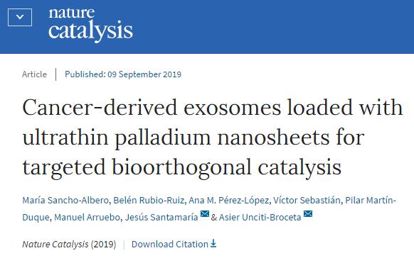 肿瘤靶向纳米制剂,nature纳米片