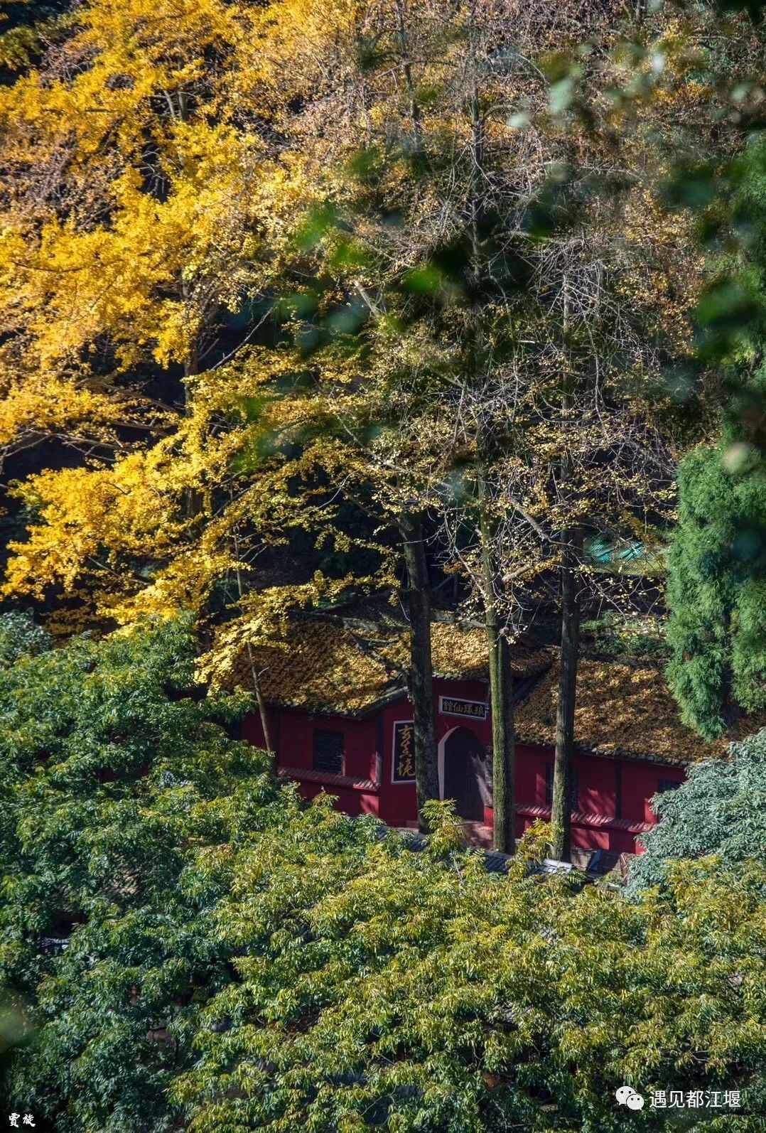 国庆都江堰怎么玩,去都江堰玩啥最好看的攻略图解