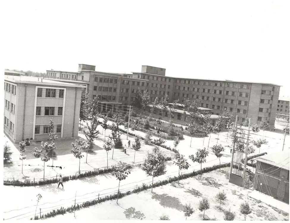 医院近几年的发展变化图,医疗变迁图片