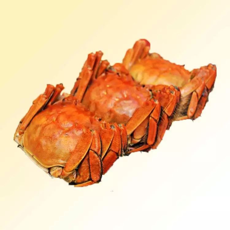 万味盛典美食节,万味盛典美食狂欢节