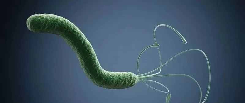 生活中有哪些常见凶险的致病菌,非常危险的致病菌有哪些