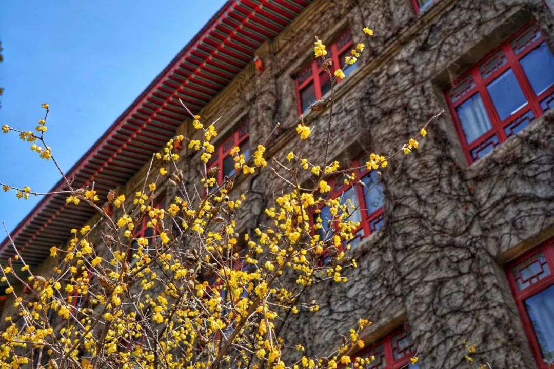 陕西师大2022硕士研究生招生简章,陕西师范大学研究生官网招生简章