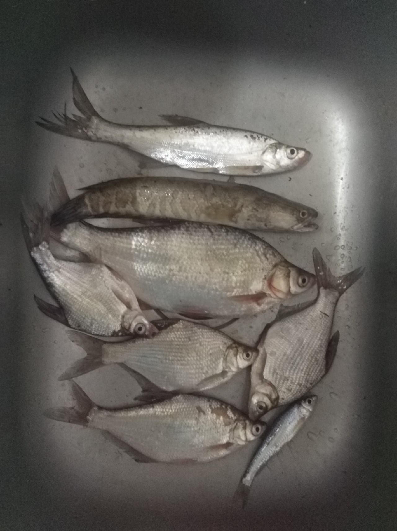 新手垂钓技巧大全,在垂钓中经常用到的一些小技巧