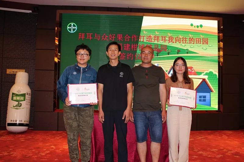 特早蜜桔前景,特早蜜桔一亩多少利润