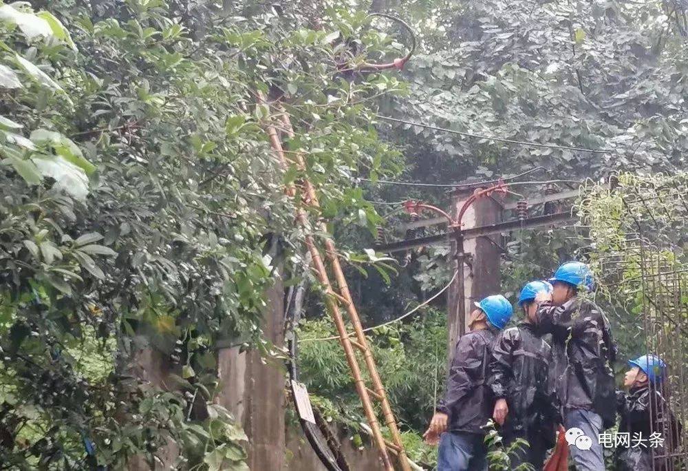 夸奖电力一线职工,表扬电力员工的句子