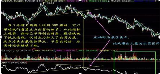 上财女博士发声,上财一女博士最后发声