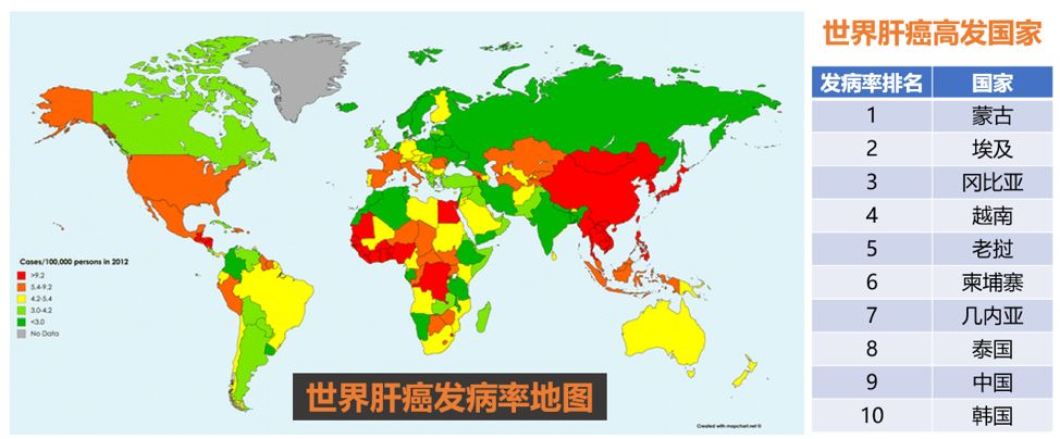 世界肝癌患者国家排名,世界第一大肝癌大国