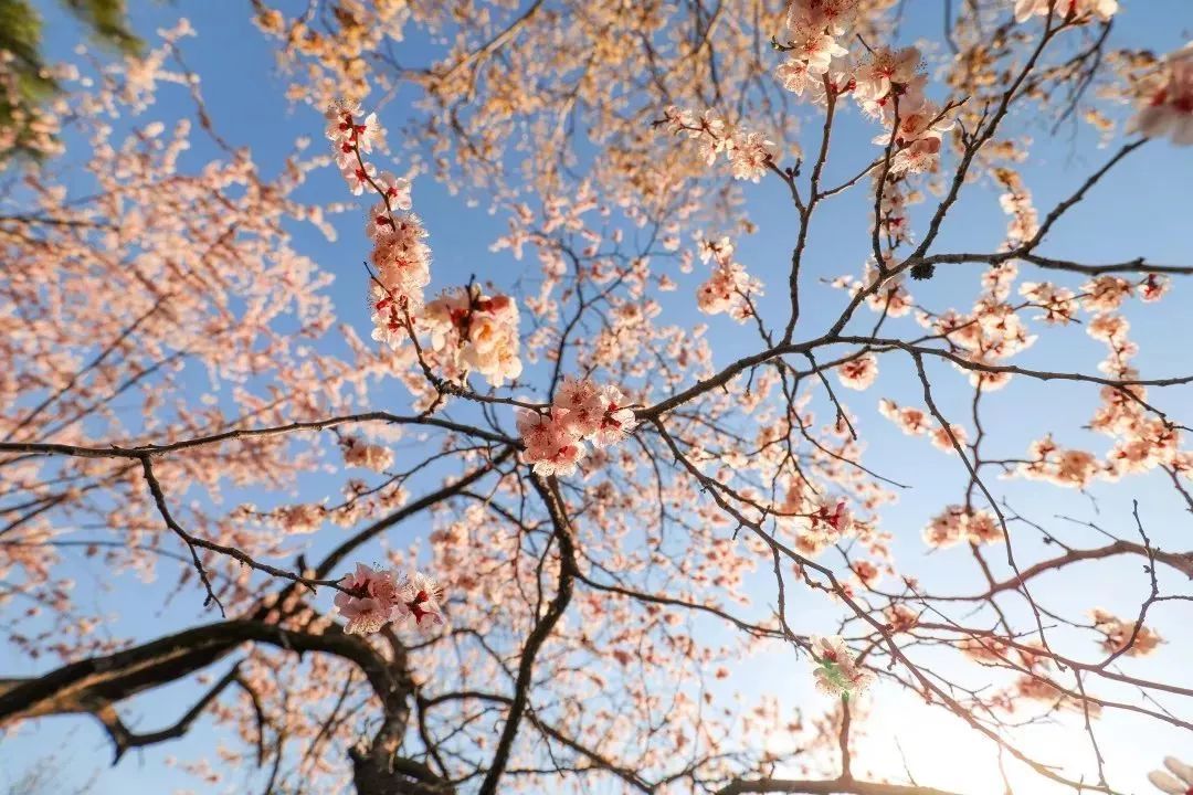 Weneedyou！如果你有梦想，一定要来东北大学校园传媒联盟