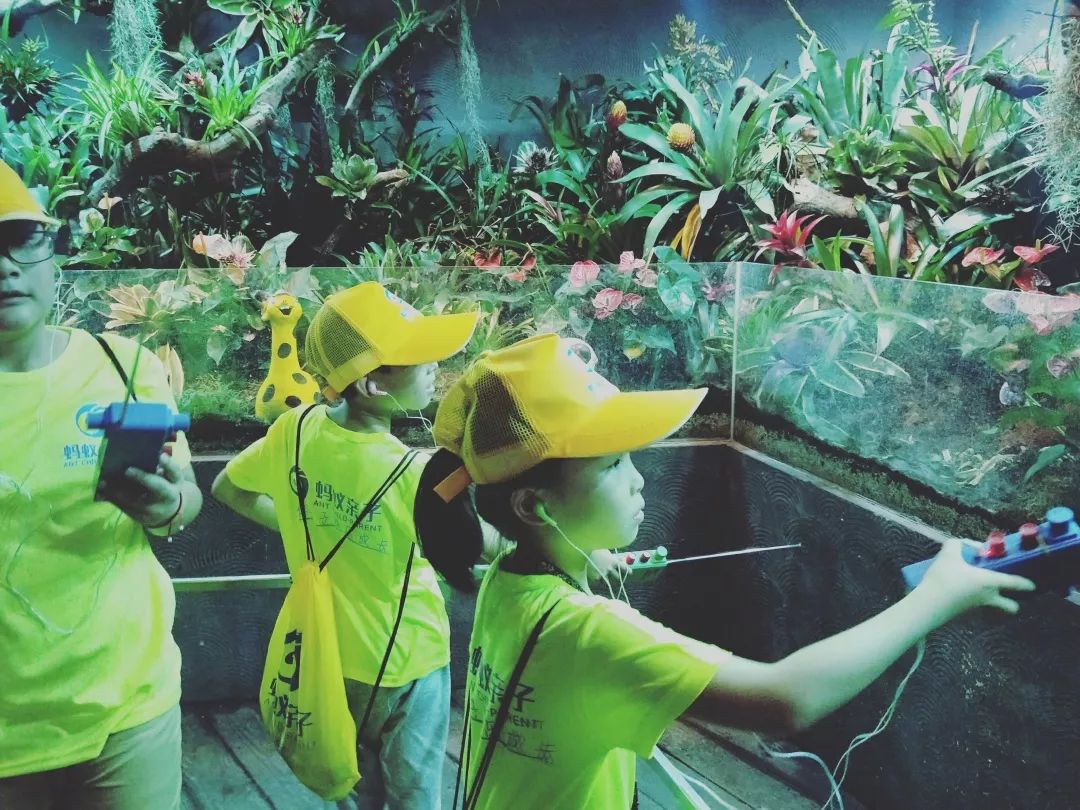 上海辰山植物园国庆节合适去吗,辰山植物园适合五一去吗