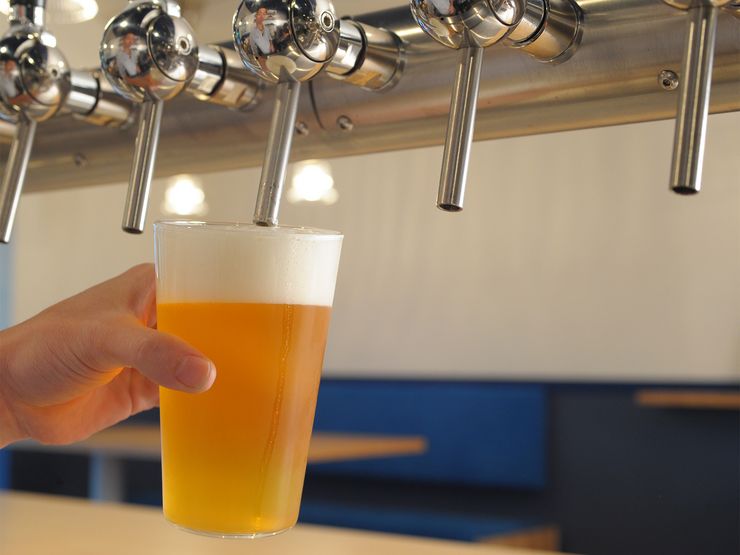 京都精酿,京都精酿酒