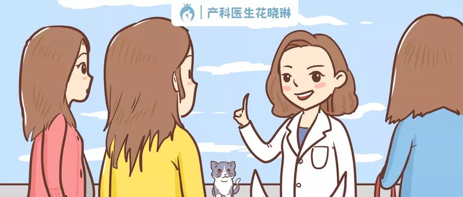 怀孕能养宠物吗专家怎么说的,怀孕可以养宠物猫咪吗