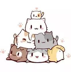 怀孕能养宠物吗专家怎么说的,怀孕可以养宠物猫咪吗