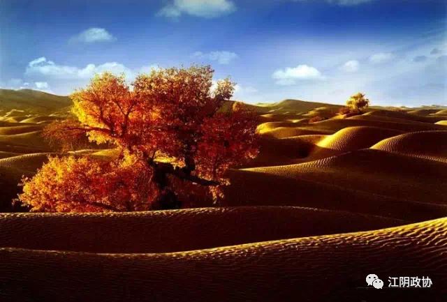 杜永卫：伴我成长的民族品牌