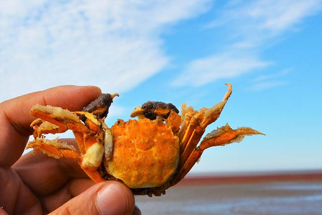 自驾锦州盘锦铁刹山路线,辽宁棋盘山自驾游攻略