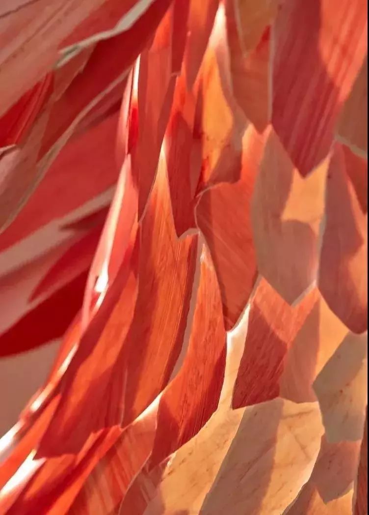 文华东方一镜到底,文华东方金丝楠木