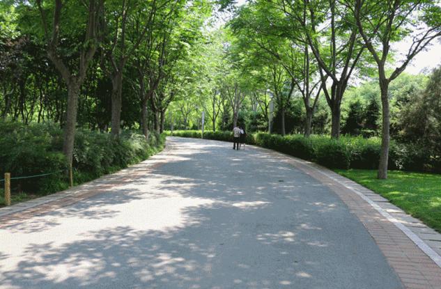 看看未来的郑州,郑州最新规划20年