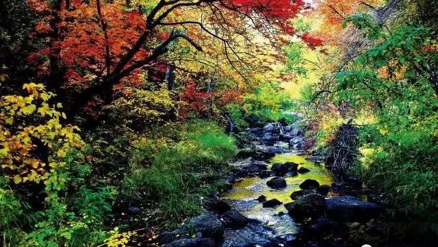 巴林左旗夜景高清图片,巴林左旗光影印象