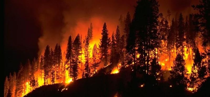 男子山上点火烧森林被抓获,上饶男子放火案