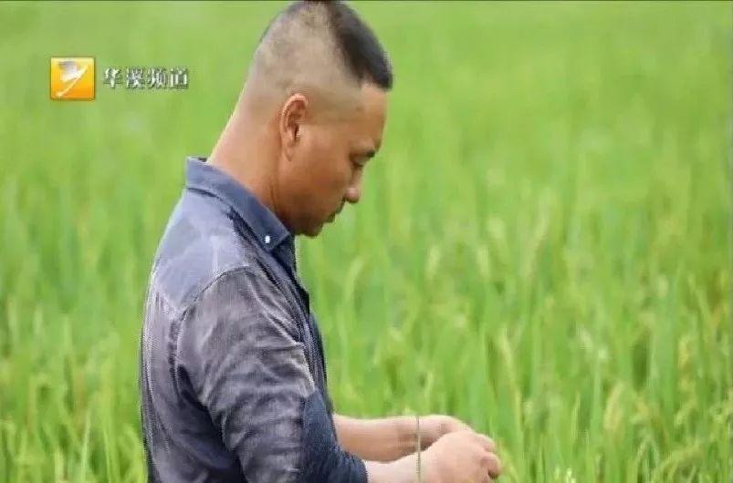 身边永康人：祖祖辈辈扎根做农民——李维哲