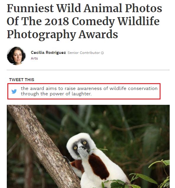 2019不正经摄影大赛引全网爆笑！40张动物黑历史被6万网友制成表情包....