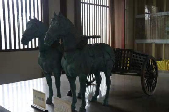 山东惠民历史简介,惠民县历史