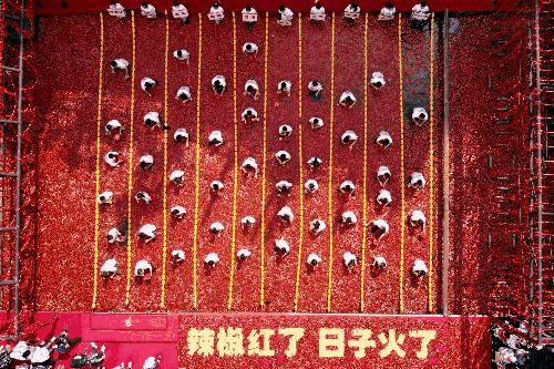 鏉窞鐑傝嫻鏋滀箰鍥拰瀹嬪煄鍝釜濂界帺,瀹嬪煄鏉窞涔愬洯灏栧彨涔嬫梾