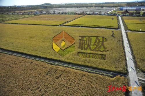 方正大米的机器人,方正大米的视频