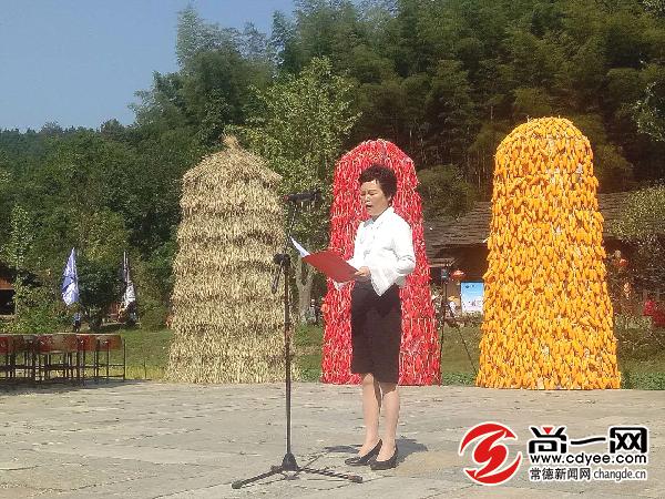 桃花源古镇农民丰收节,桃花源旅游节开幕式