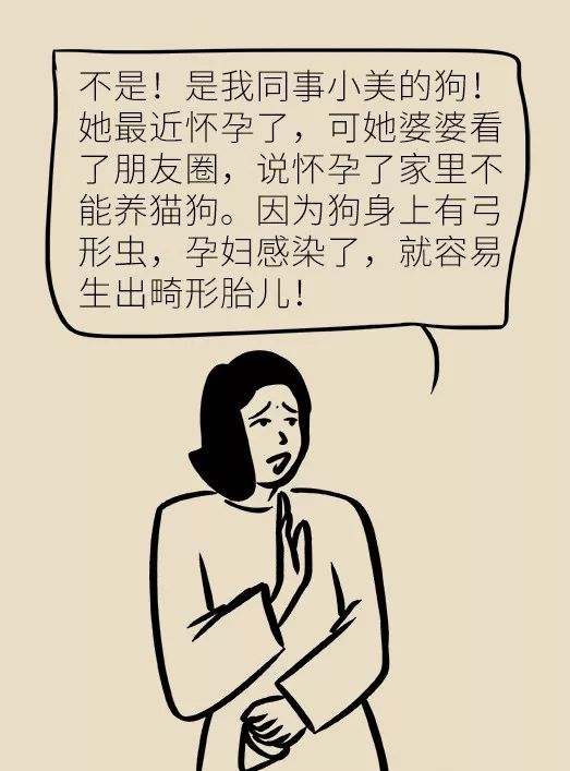 怀孕了家里有猫狗还可以继续养吗,家里一直有猫狗怀孕了怎么办