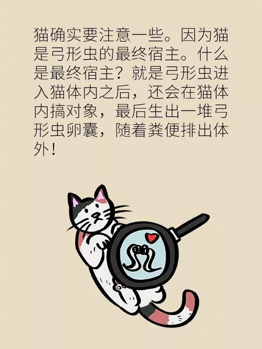 怀孕了家里有猫狗还可以继续养吗,家里一直有猫狗怀孕了怎么办