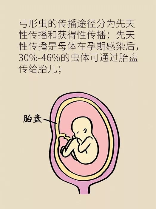 怀孕了家里有猫狗还可以继续养吗,家里一直有猫狗怀孕了怎么办