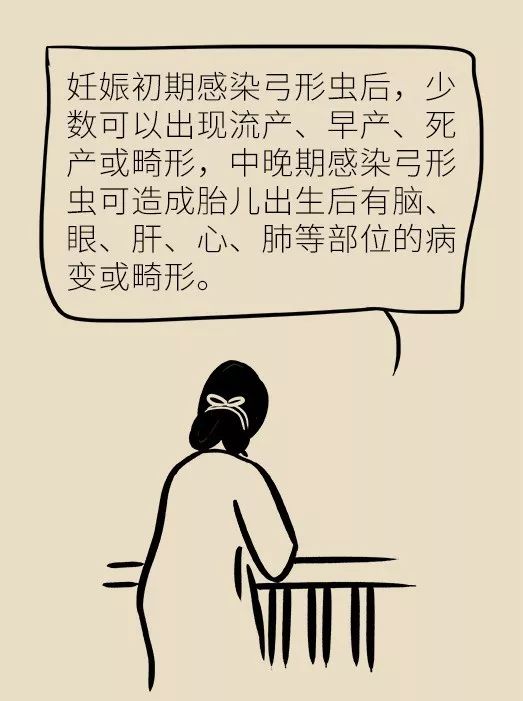 怀孕了家里有猫狗还可以继续养吗,家里一直有猫狗怀孕了怎么办