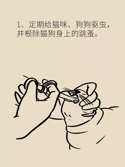 怀孕了家里有猫狗还可以继续养吗,家里一直有猫狗怀孕了怎么办