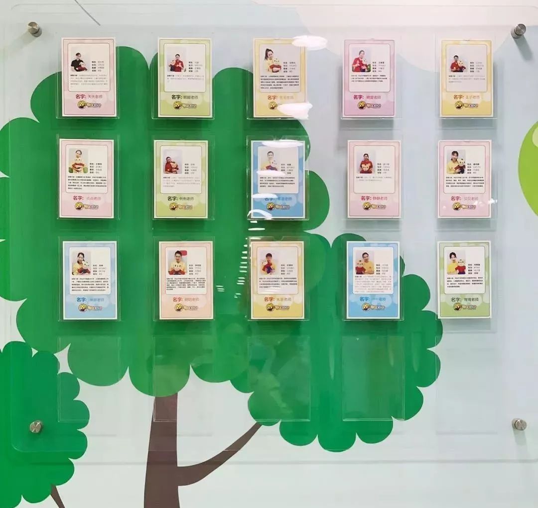 巧虎kids早教介绍,巧虎kids早教抖音团购