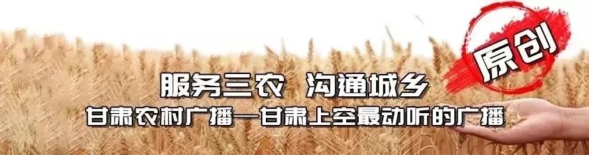 爱国情奋斗者,爱国情奋斗者人物事迹