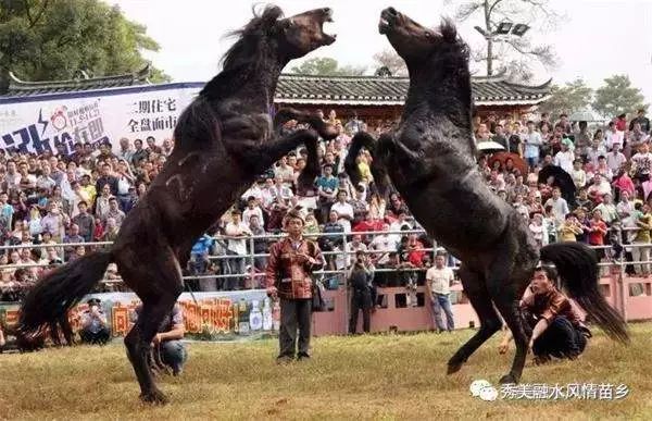 头条|世界这么大，我怕你会迷路，这份国庆出行柳州攻略请收好