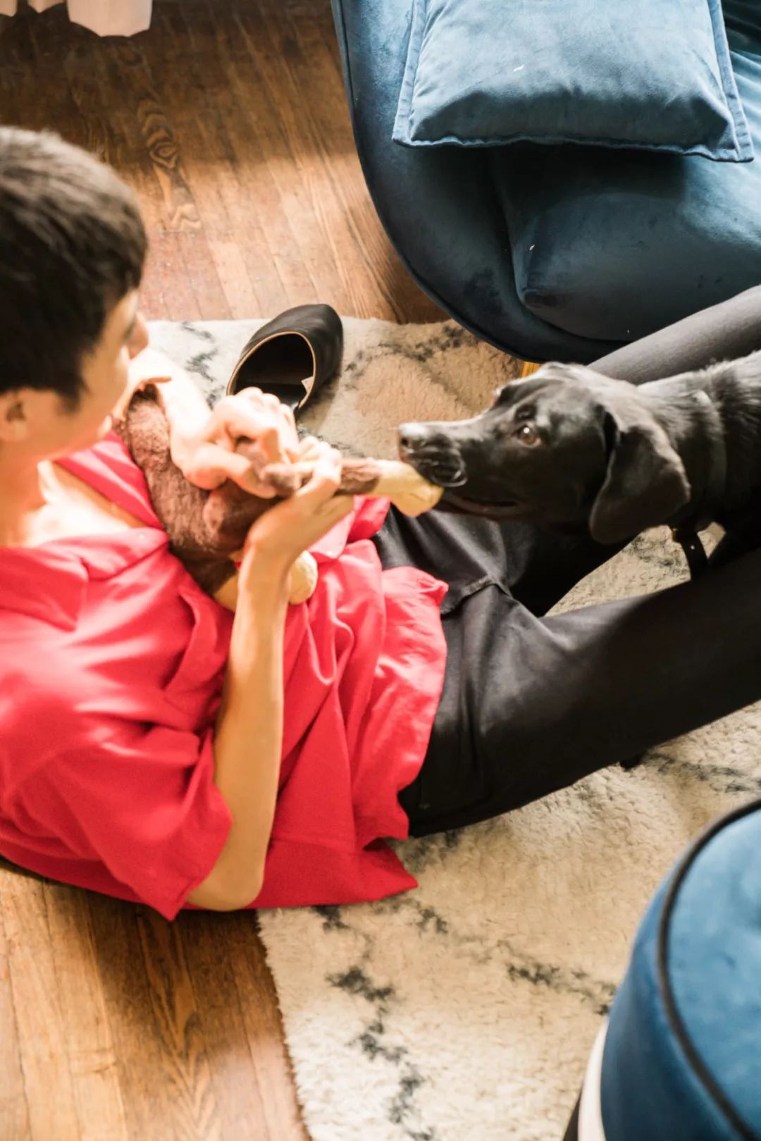 带着狗狗去房车里住,带着狗狗和孩子一起出门