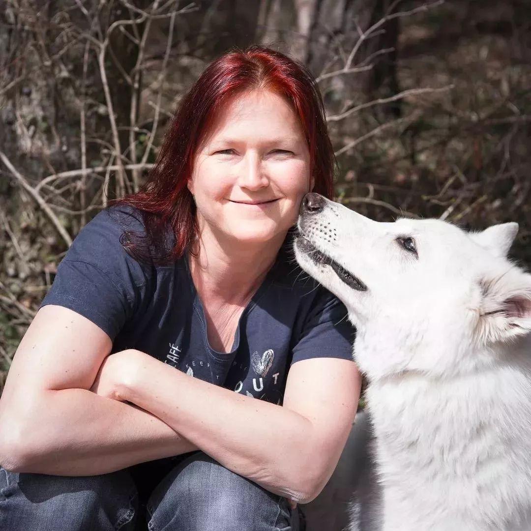 纯白色德牧是咋回事,黑白杂色德牧