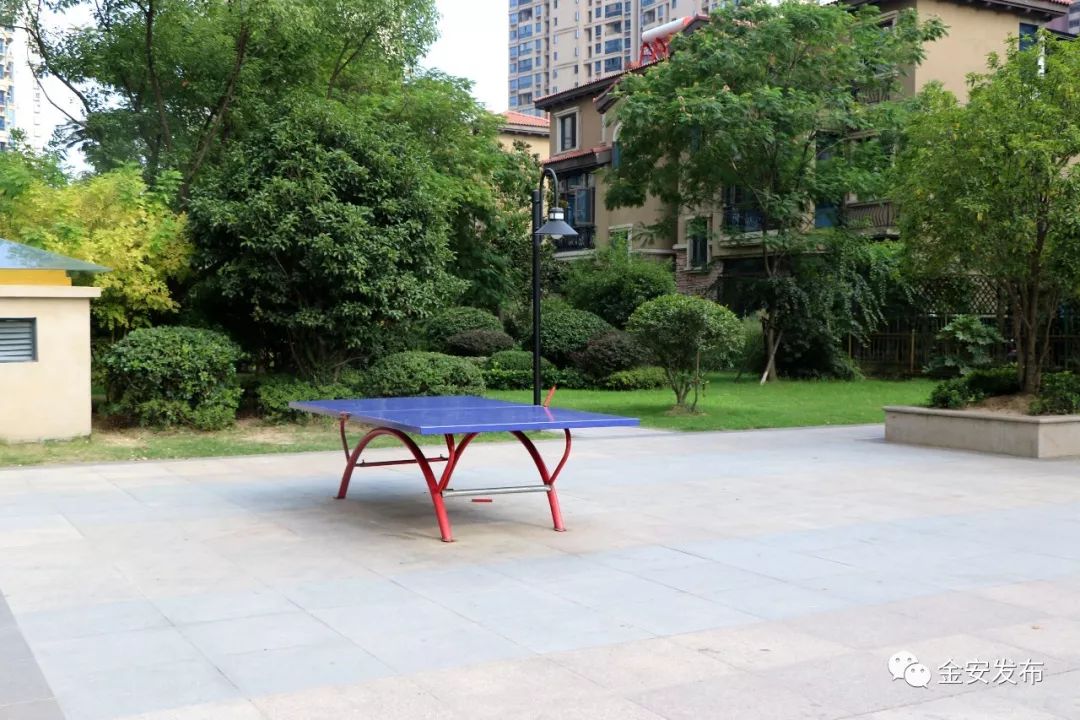 碧桂园空置房物业费收取标准,碧桂园老带新物业费不给了怎么办